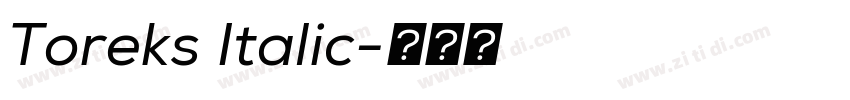 Toreks Italic字体转换